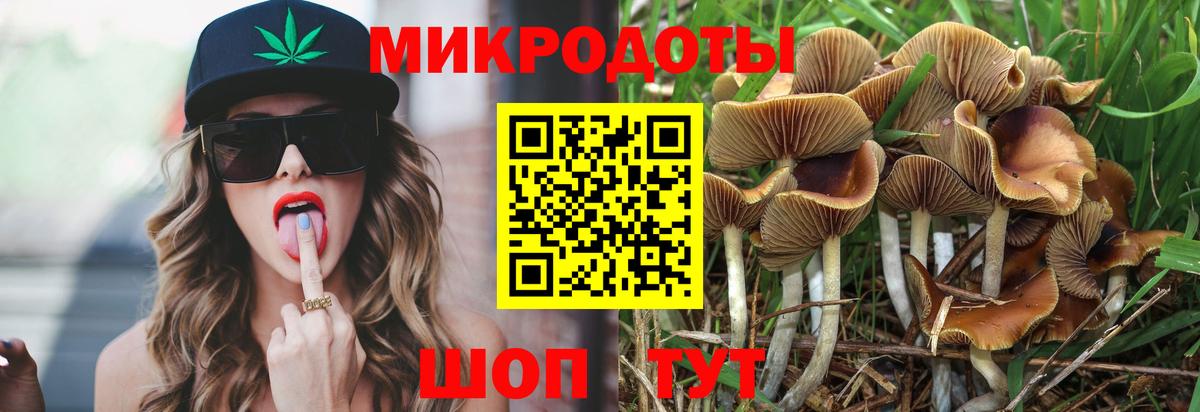 Псилоцибиновые грибы мицелий Рыбинск